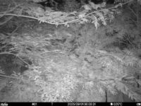 Sep 1 2025  0:00:31, #01