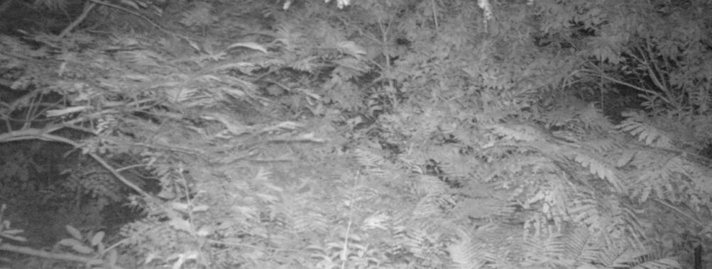 Sep 1 2025  3:00:30, #01