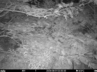 Sep 1 2025  3:00:30, #01