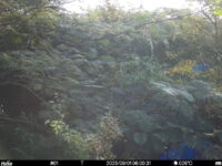 Sep 1 2025  6:00:31, #01