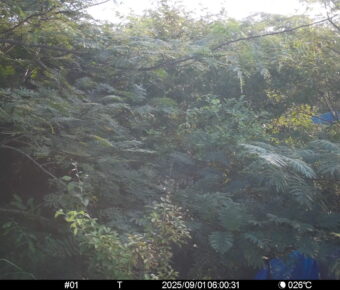 Sep 1 2025  6:00:31, #01