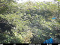 Sep 1 2025  9:00:32, #01