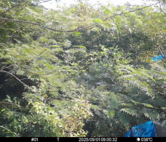 Sep 1 2025  9:00:32, #01