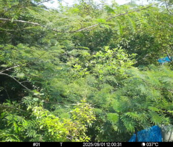Sep 1 2025 12:00:30, #01