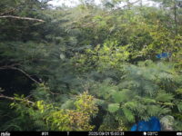 Sep 1 2025 15:00:31, #01