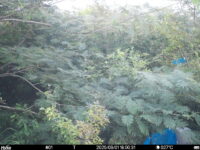 Sep 1 2025 18:00:31, #01