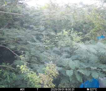 Sep 1 2025 18:00:31, #01