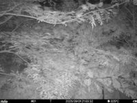 Sep 1 2025 21:00:32, #01