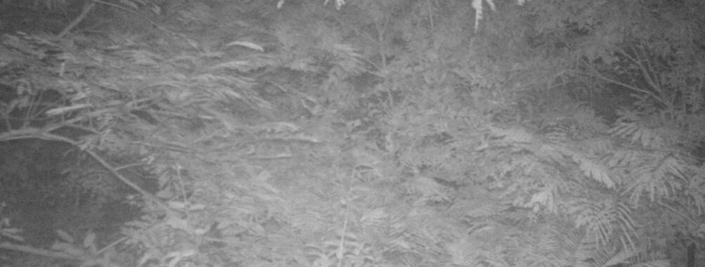 Sep 2 2025  0:00:31, #01