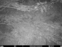 Sep 2 2025  0:00:31, #01