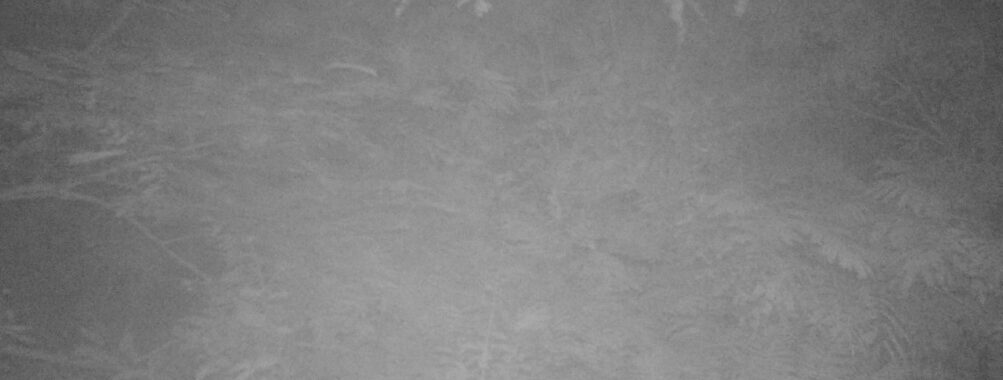 Sep 2 2025  3:00:30, #01