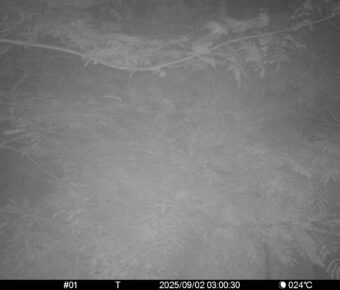 Sep 2 2025  3:00:30, #01