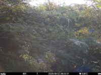 Sep 2 2025  6:00:31, #01