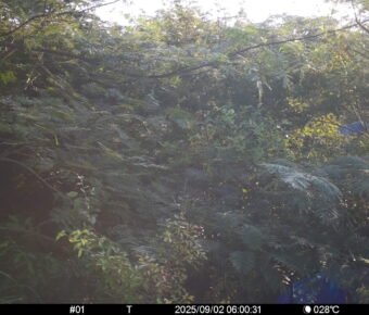Sep 2 2025  6:00:31, #01