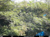Sep 2 2025  9:00:31, #01