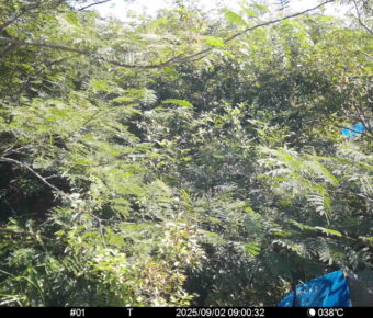 Sep 2 2025  9:00:31, #01