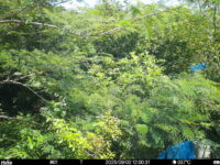 Sep 2 2025 12:00:30, #01