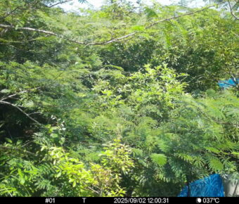 Sep 2 2025 12:00:30, #01