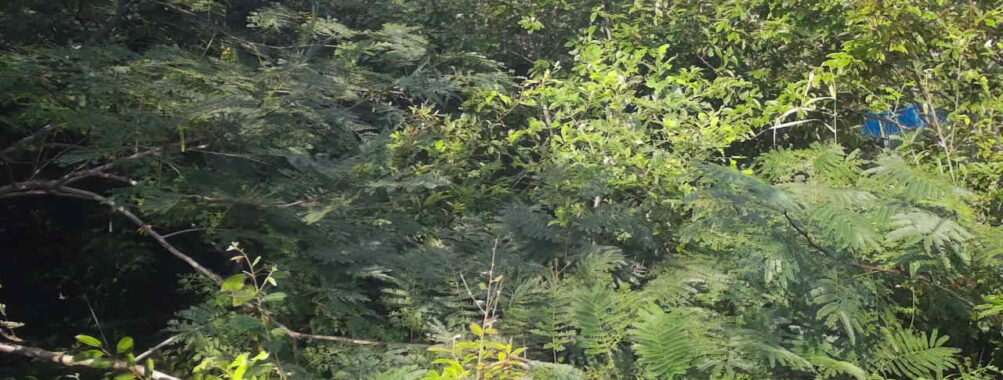 Sep 2 2025 15:00:31, #01