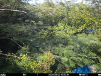 Sep 2 2025 15:00:31, #01