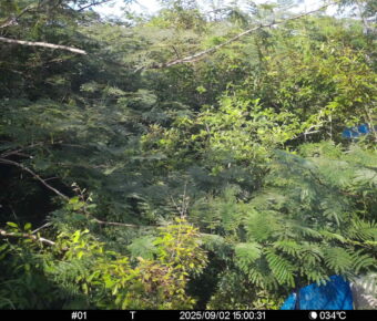 Sep 2 2025 15:00:31, #01