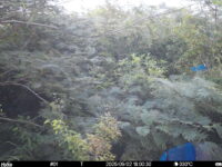 Sep 2 2025 18:00:30, #01