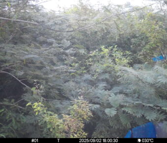 Sep 2 2025 18:00:30, #01