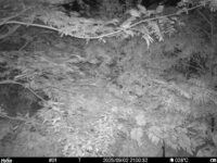 Sep 2 2025 21:00:32, #01