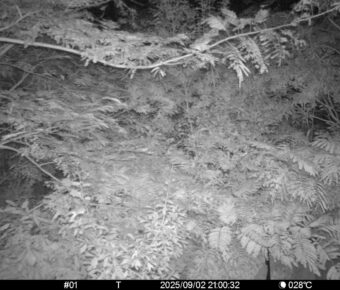 Sep 2 2025 21:00:32, #01