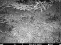 Sep 3 2025  0:00:31, #01