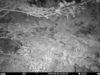 Sep 3 2025  3:00:30, #01