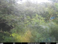 Sep 3 2025  6:00:32, #01