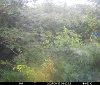 Sep 3 2025  6:00:32, #01