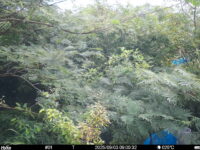 Sep 3 2025  9:00:31, #01