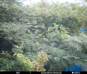 Sep 3 2025  9:00:31, #01