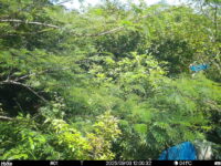 Sep 3 2025 12:00:32, #01