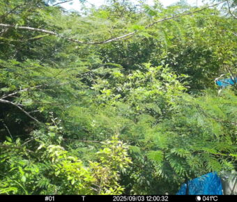 Sep 3 2025 12:00:32, #01