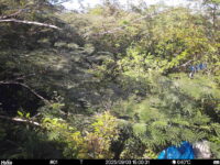 Sep 3 2025 15:00:31, #01