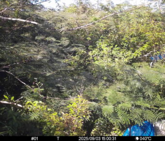 Sep 3 2025 15:00:31, #01