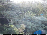 Sep 3 2025 18:00:30, #01