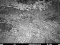 Sep 3 2025 21:00:32, #01
