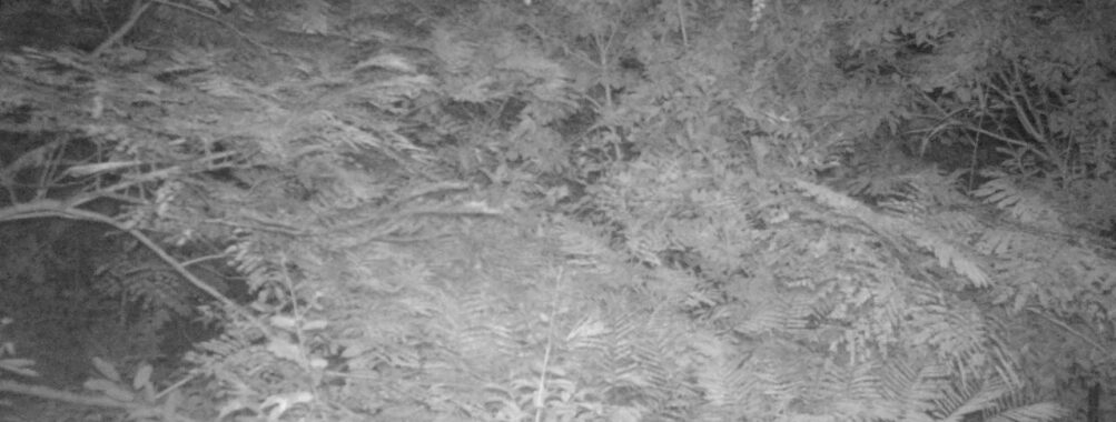 Sep 4 2025  3:00:31, #01