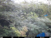 Sep 4 2025  6:00:32, #01