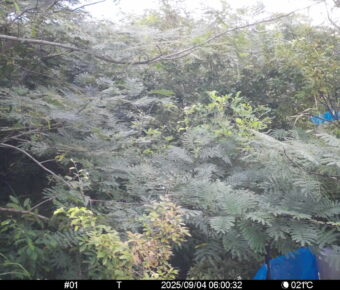 Sep 4 2025  6:00:32, #01