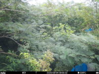 Sep 4 2025  9:00:32, #01