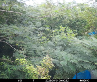 Sep 4 2025  9:00:32, #01