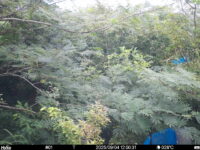 Sep 4 2025 12:00:31, #01