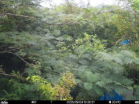 Sep 4 2025 15:00:31, #01