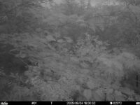 Sep 4 2025 18:00:32, #01