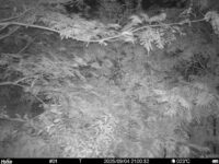 Sep 4 2025 21:00:32, #01